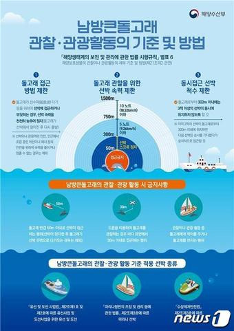 남방큰돌고래 관찰·관광활동 관련 세부 기준 및 방법(해양수산부 제공)