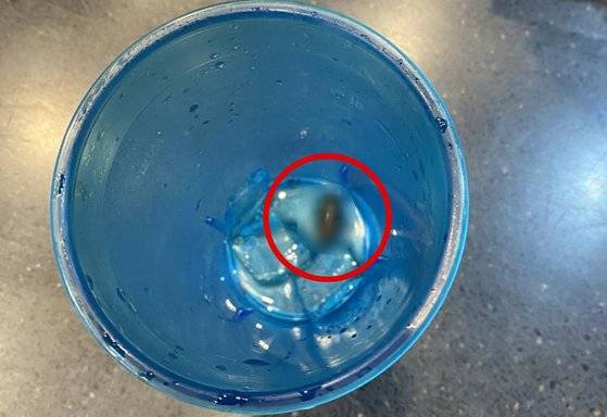 롯데리아 콜라 속의 바퀴벌레. 제보자 제공=연합뉴스