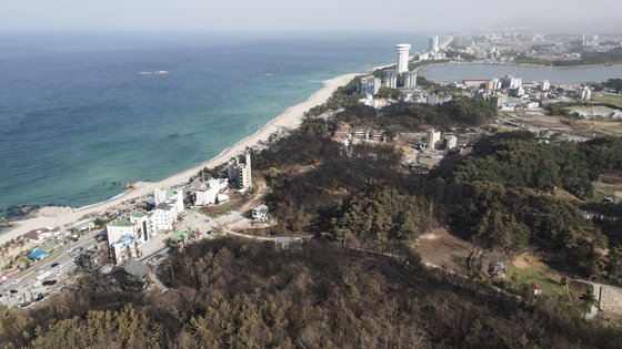 지난 12일 오후 강원 강릉시 경포 일원 산림과 건물이 전날 대형 산불로 처참한 모습으로 변해있다. 김종호 기자