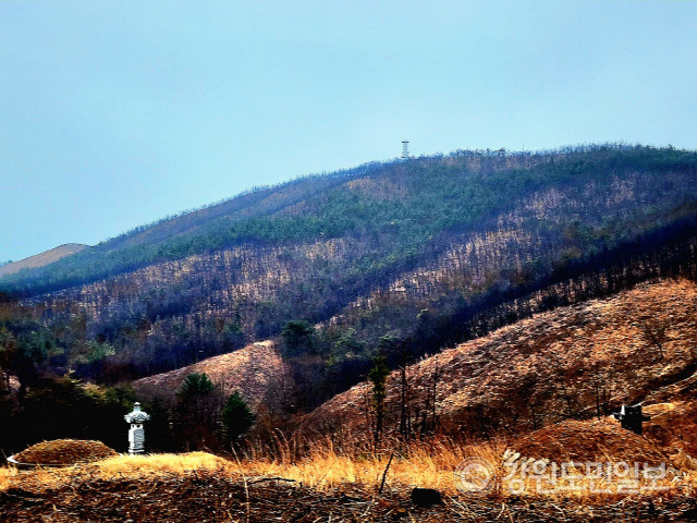 ▲ 동해시 어달동 산불피해지의 지난 2월  모습.