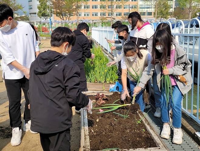 [울산=뉴시스] 울산 영화초등학교 교내 텃밭 '사랑밭' *재판매 및 DB 금지