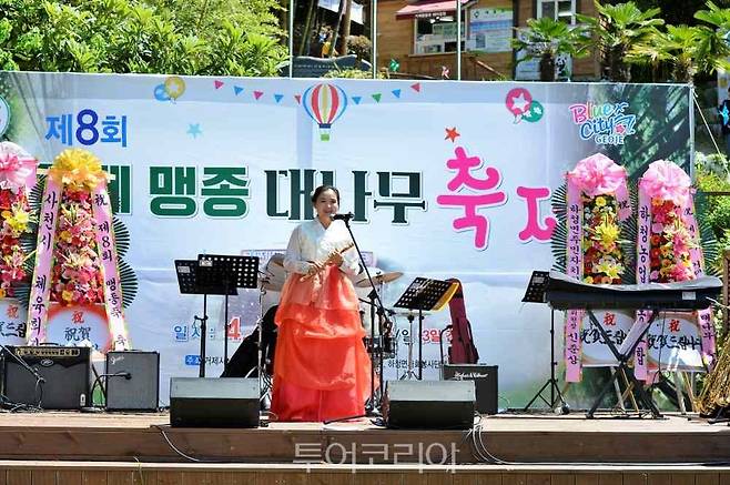 거제 맹종대나무 축제