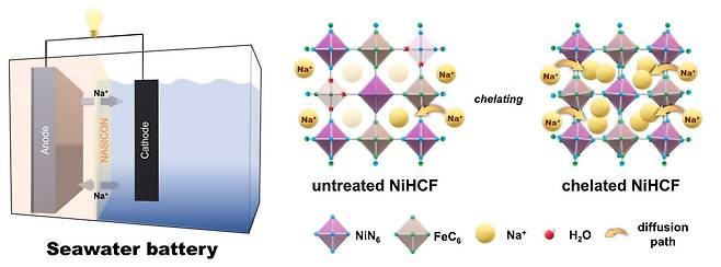 해수전지와 킬레이트 첨가 여부에 따른 분자구조. /조창신 포스텍 교수 제공