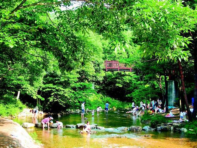 충남 서산 용현자연휴양림 계곡. 국립자연휴양림관리소 제공