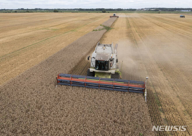 [즈흐리우카=AP/뉴시스]지난해 8월(현지시간) 우크라이나 즈흐리우카의 밀밭에서 농민들이 밀을 수확하는 모습. 2023.04.21.