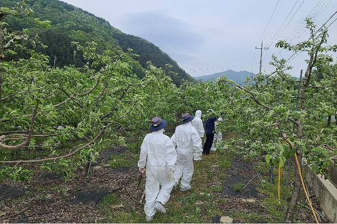 충주시 제공