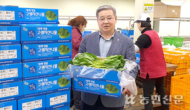 김병두 강원 태백농협 조합장(앞쪽)이 농산물산지유통센터(APC)에서 명이나물을 들어 보이고 있다.