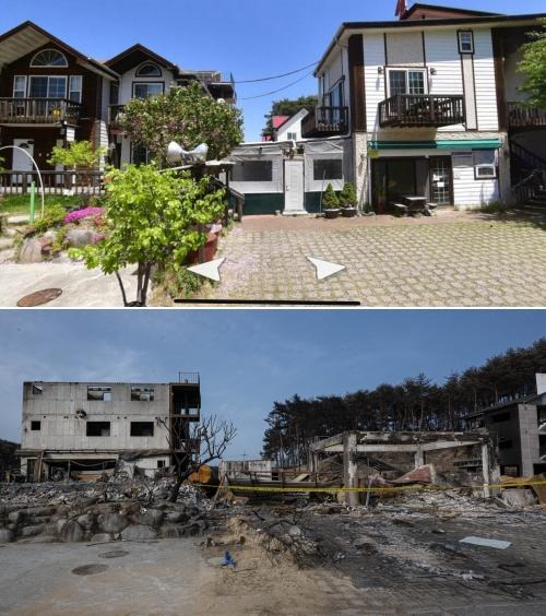 산불이 발생하기 약 2년 전인 2021년 5월 지도 앱에 기록된 저동 펜션단지(위)와 지난 20일에 촬영한 모습을 비교했다. 네이버 거리뷰·강릉=하상윤 기자