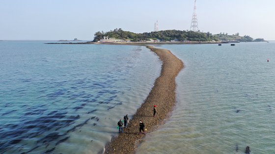 지난 21일 오후 ‘신비의 바닷길축제’가 열린 전남 진도군 회동리와 모도 사이에 바닷길이 열린 모습. 프리랜서 장정필