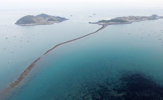 전남 진도군 회동리와 모도 사이의 바다에 길이 형성되는 모습. 이곳에서는 매년 ‘신비의 바닷길축제’가 열린다. 프리랜서 장정필