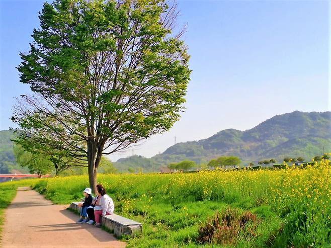 Visitors rest next to a field of canola flowers in Ggeutdeul Village, Gwangyang, South Jeolla Province, on Monday. (Lee Si-jin/The Korea Herald)