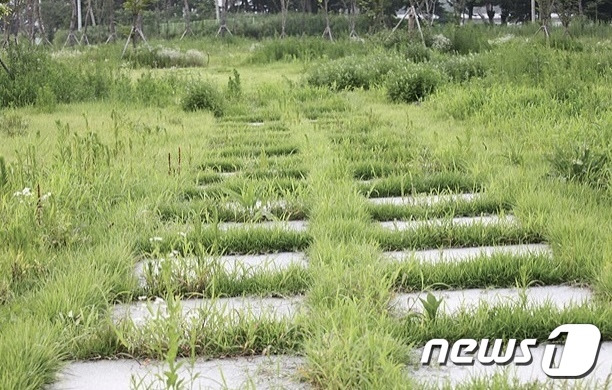 23일 충북 충주시가 4대강 사업 친수공간을 생태공원으로 활용한다고 밝혔다. 사진은 중앙탑면 친수공간 산책로.(독자 제공)2023.4.23/뉴스1