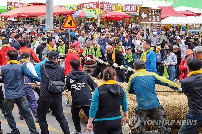 외국인들도 참여한 당진 기지시 줄다리기 축제 (당진=연합뉴스) 국가무형문화재이자 유네스코 인류무형문화유산인 충남 당진 기지시 줄다리기 축제 마지막 날인 23일 오후 본 행사인 500여년 전통의 줄다리기를 위해 수많은 주민과 외국인 등 관광객들이 총길이 200m, 직경 1m, 무게 40t의 초대형 줄을 행사장으로 옮기는 '줄 나가기'를 하고 있다. 2023.4.23 [당진시 제공. 재판매 및 DB 금지] jchu2000@yna.co.kr