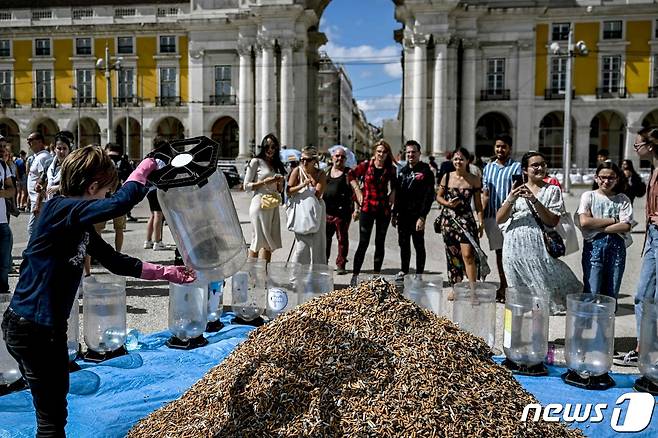 한 환경운동가가 광장에 전시하기 위해 통에 담은 담배꽁초를 내놓고 있다. ⓒ AFP=뉴스1 ⓒ News1 박형기 기자