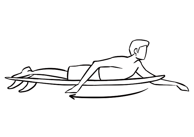 패들링 자세. 허리 힘으로 상체를 들고 손으로 물을 밀어 나아갑니다.