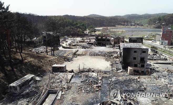 강릉 산불의 처참한 흔적 [연합뉴스 자료사진]