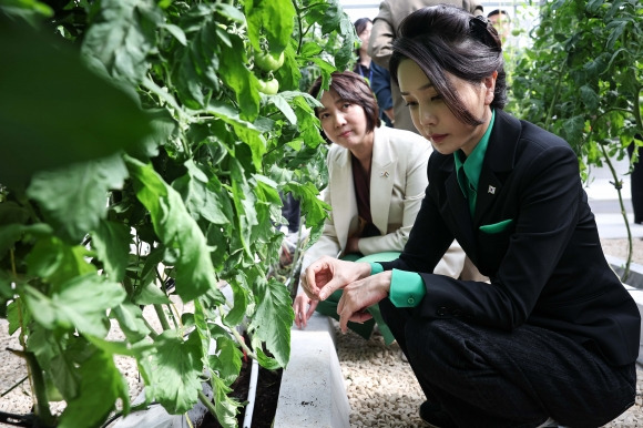 두바이 진출 한국기업 찾은 김건희 여사 - 윤석열 대통령과 아랍에미리트(UAE)를 국빈 방문한 김건희 여사가 17일(현지시간) 두바이 현지의 스마트팜 진출기업인 아그로테크를 방문, 토마토 재배시설을 살펴보고 있다. 2023.1.18 연합뉴스