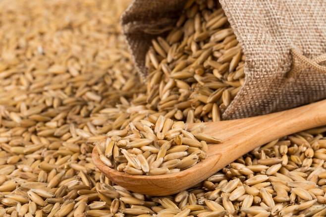 [사진=클립아트코리아]