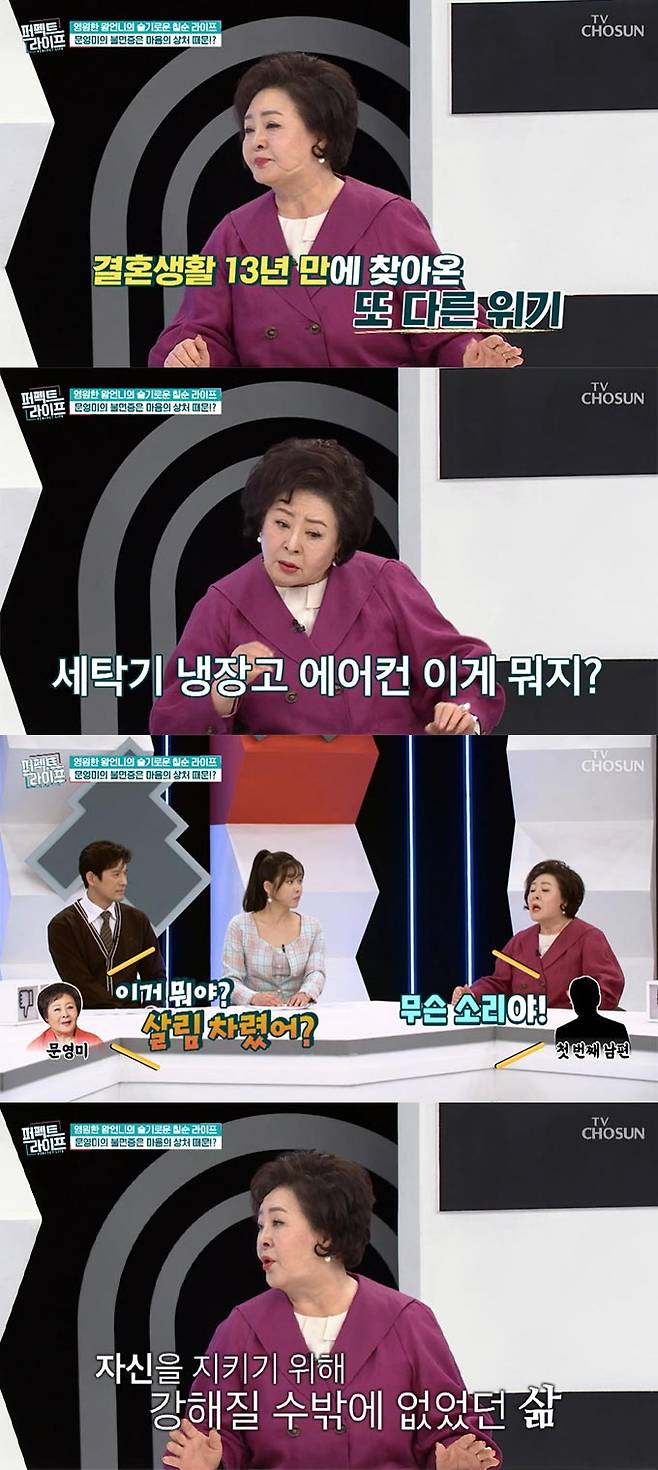 /사진=TV조선 '퍼펙트 라이프' 방송 화면