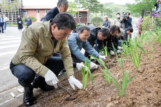 청양군 대치면 광대리 일원에서 김돈곤청양군수, 금강유역환경청, 애경케미칼㈜, 대전상공회의소, 고운식물원 관계자들과 수정초 학생, 주민 등 100여 명이 참여한 가운데 Ⅱ급 식물 심기 행사를 갖는 등 청양군이 멸종위기 Ⅱ급 식물 복원·보존사업을 본격화했다.사진=청양군 제공