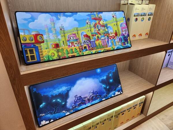 - 차원의 도서관에서 본 장패드