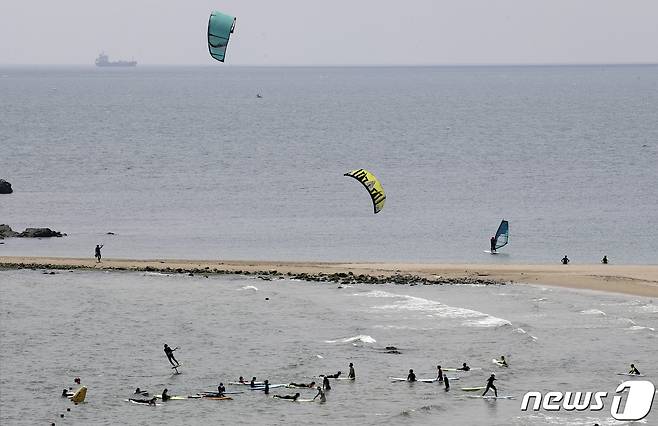 울산 울주군 진하해변에서 서핑을 즐기는 사람들. 2021.7.23/뉴스1 ⓒ News1 DB