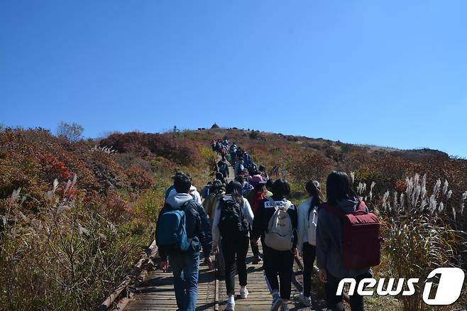 노고단 탐방로 데크길. ⓒ News1