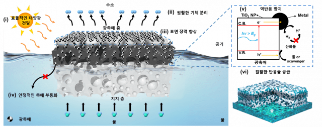 태양광 기반 수소 생산을 위한 하이드로겔 나노복합체 (자료=IBS)