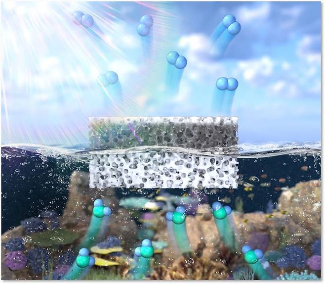IBS 나노입자연구단이 개발한 수소생산 장치는 공기 중에 노출돼 효과적으로 빛을 전달받을 수 있는 광촉매층과 구멍이 숭숭 뚫려 있어 물에 떠 있는 지지층으로 이뤄졌다. IBS 제공