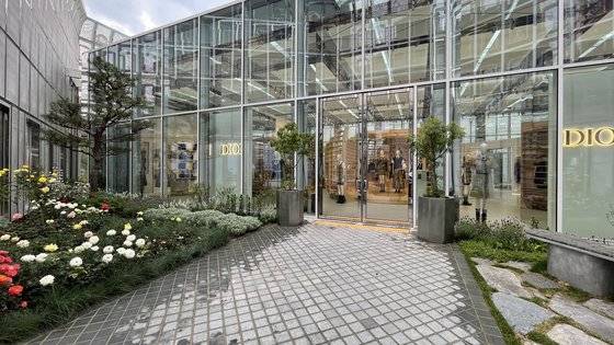 디올 성수 내부에서 처음만나는 공간의 백미, 정원. 윤경희 기자