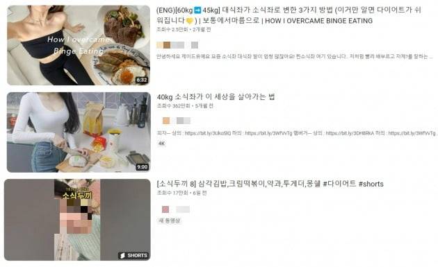 '소식' 관련 영상을 올려 인기를 모은 유튜브 영상들. /사진=유튜브 화면 캡처