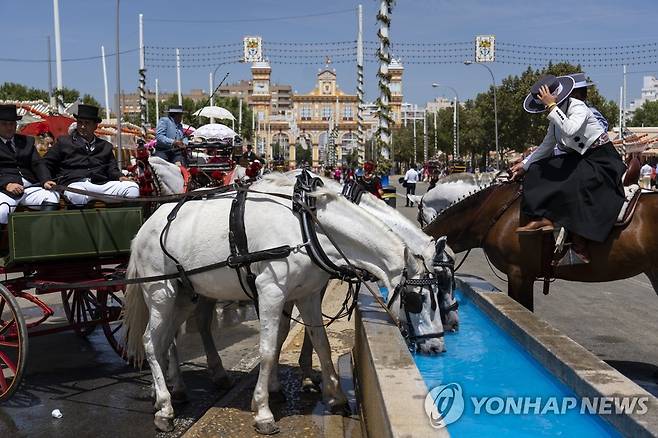 스페인 세비야에서 마차를 끄는 말들이 목을 축이고 있다. [AP 연합뉴스 자료사진. 재판매 및 DB 금지]