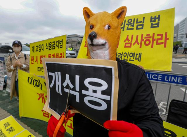 한국동물보호연합 회원들이 최근 서울 영등포구 국회 앞에서 열린 개식용 금지 법안 국회 통과를 촉구하는 기자회견에서 퍼포먼스를 하고 있다. 뉴스1