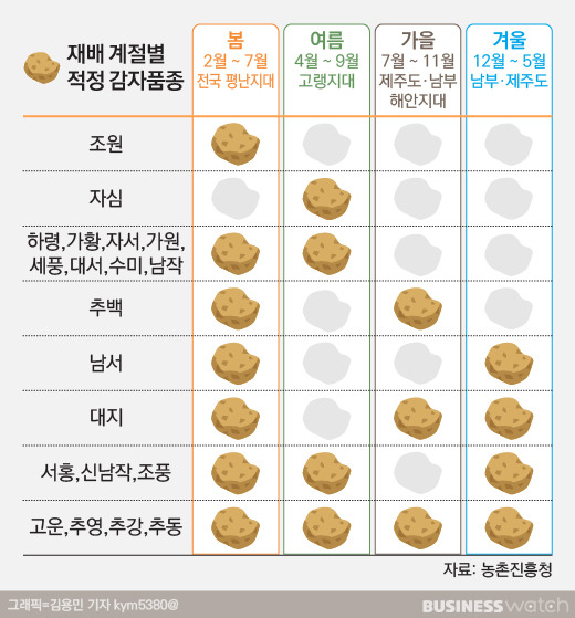 재배 계절별 적정 감자 품종/그래픽=김용민 기자 kym5380@