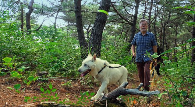 29일 전주국제영화제에서 상영한 다큐멘터리 영화 '문재인입니다' 속 문재인 전 대통령과 풍산개 '마루'의 산책 장면. /엠프로젝트 제공