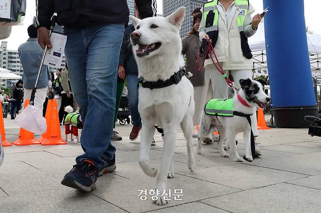 반려견 순찰대원들이 30일 서울 영등포구 여의도 한강공원에서 열린 2023년 서울 반려견 순찰대 발대식을 마친 후 모의 순찰 체험을 위해 출발하고 있다.  조태형 기자