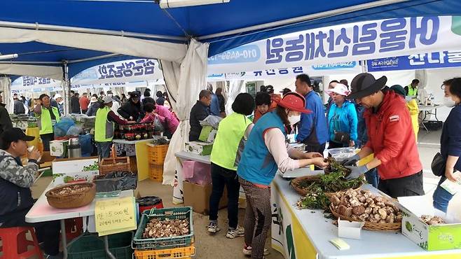 제5회 홍천산나물축제에 3만명이 다녀가는 등 성공적인 행사로 자리매김했다. 홍천군 제공.