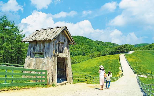 대관령양떼목장의 시그니처 포토존 앞 모녀의 동행