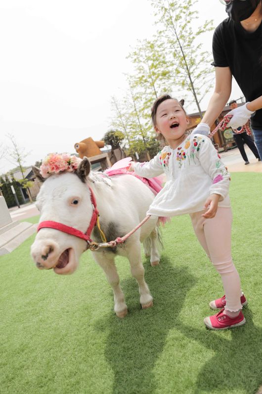 [사진]한국마사회 제공