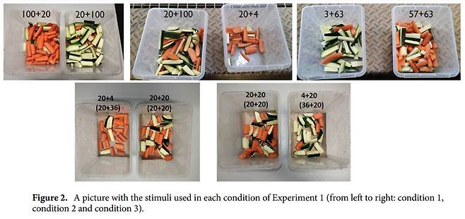 연구팀이 실험 과정에서 사용한 플라스틱 용기와 가지, 당근. 실험 때마다 가지와 당근 비율을 다르게 해서 용기에 넣었다.