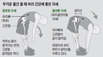 무거운 물건을 들 때는 허리를 약간만 구부리지 말고, 엉덩이를 뒤로 내밀며 90도로 꺾는 자세가 좋다./사진=조선일보DB