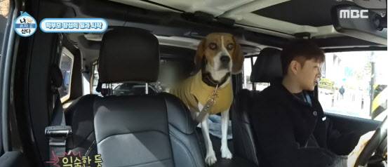(사진=MBC 유튜브 방송화면 캡쳐)