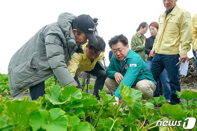 오영훈 제주지사가 6일 제주시 애월읍 미니단호박 농가를 방문, 지난 집중호우로 인한 피해상황을 점검하고 있다.(제주도청 제공)/뉴스1