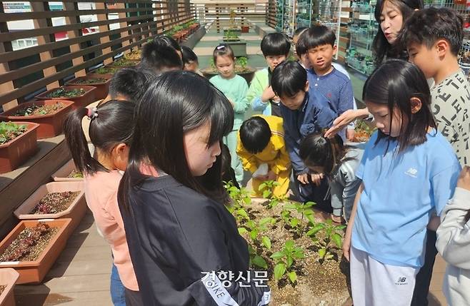 울산 옥동초등학교 어린이들이 지난 2일 본관건물 옥상에 마련된 텃밭에서 식물재배법을 배우고 있다.