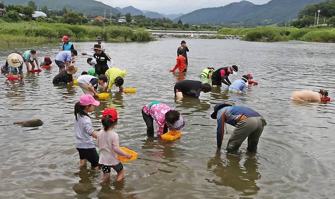 괴산올갱이둔율마을축제, 뉴시스 제공