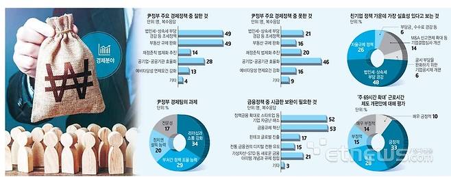 윤석열 정부의 경제정책 설문조사 결과