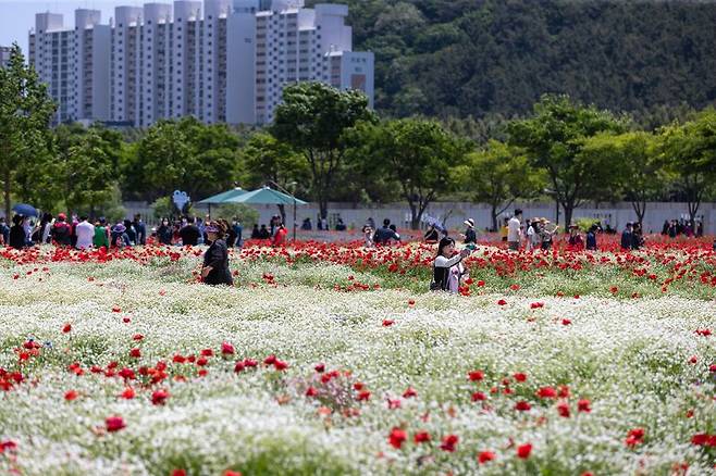 2022년 태화강 국가정원 봄꽃축제 /사진=울산시 제공