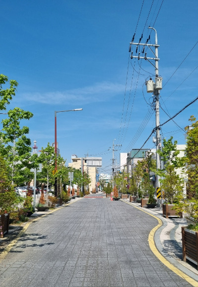 진주 성북지구 가로수길. 경남도청 제공