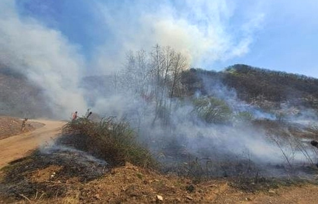 지난달 2일 오전 충북 옥천 군북면에서 발생한 산불 현장. 사진=옥천소방서