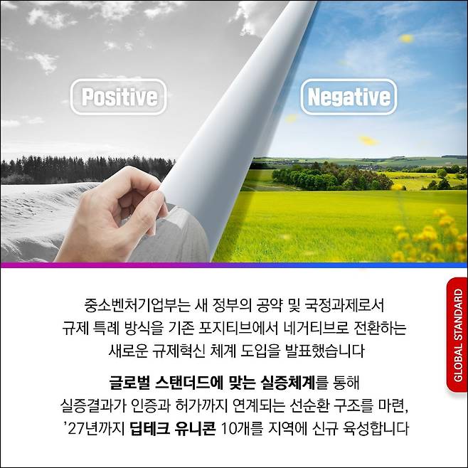 네거티브 규제 도입 [중소벤처기업부 제공. 재판매 및 DB 금지]